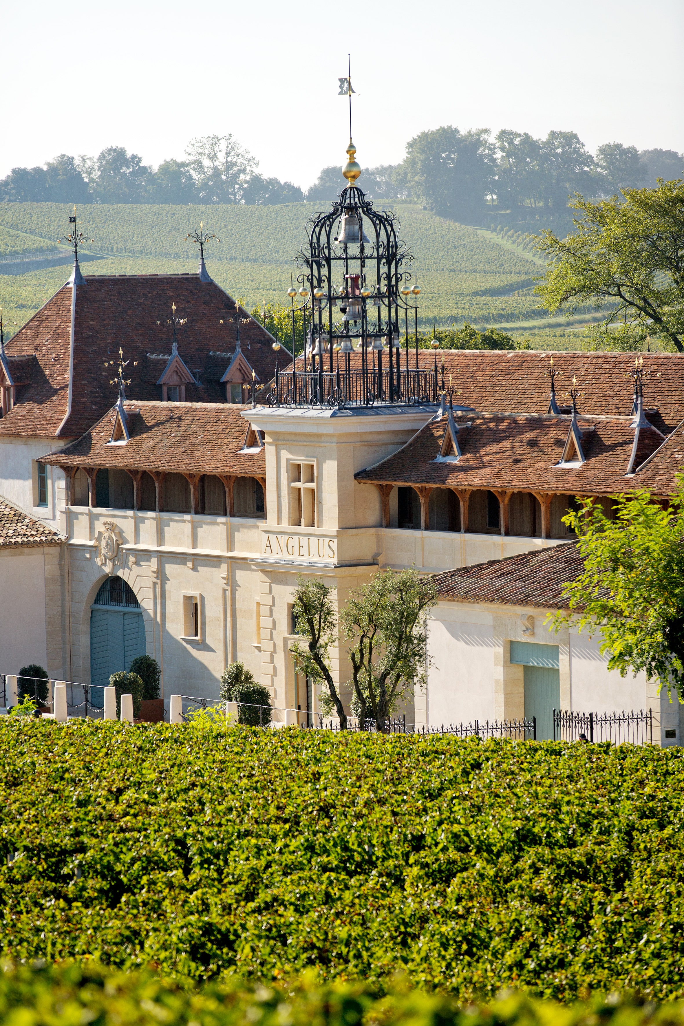 Château Angélus - Bordeaux Tradition - Négoce de Vins